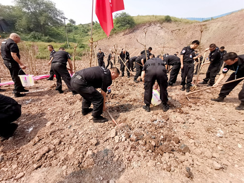 种下心愿.jpg
