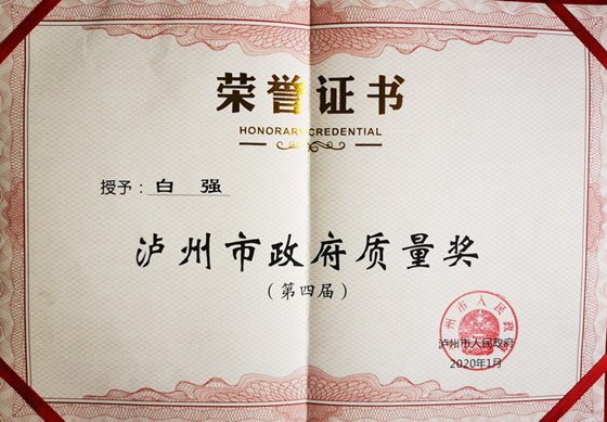 授予证书_副本.jpg 授予证书_副本.jpg